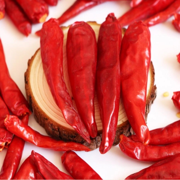 Естественное красное все с Чили Rojo продуктов Chili/без корня