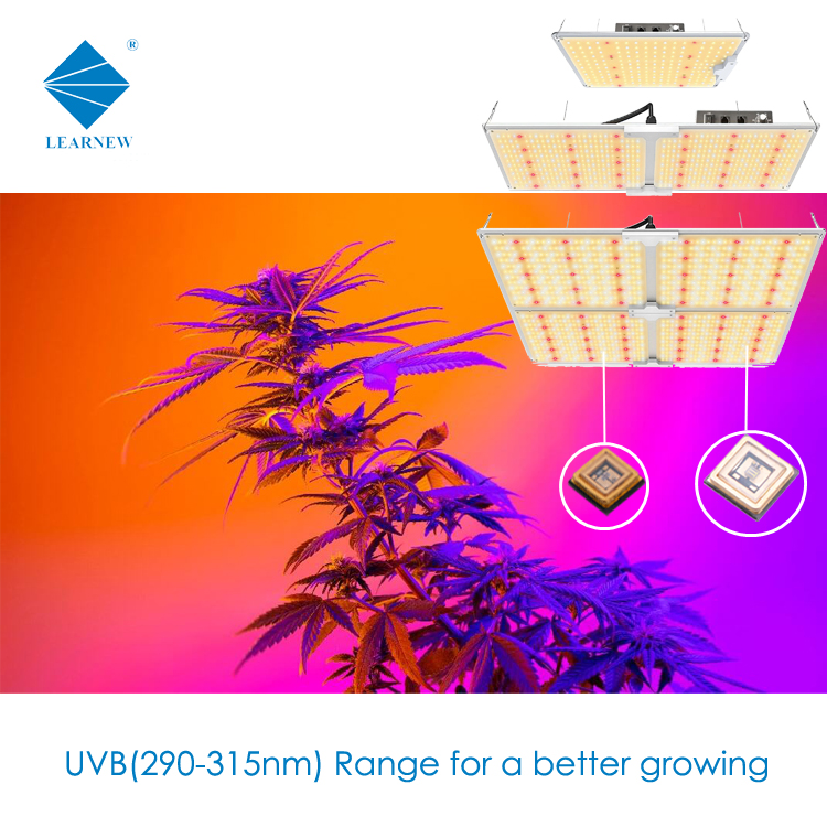 обломок 310nm 300nm СИД 120deg гермицидный 1W 10-15mW UVB для лампы Phototherapy