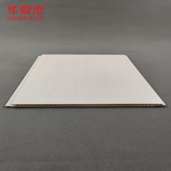 anticorrosif imperméable antiseptique de panneaux de mur de PVC de 250mm x de 5mm