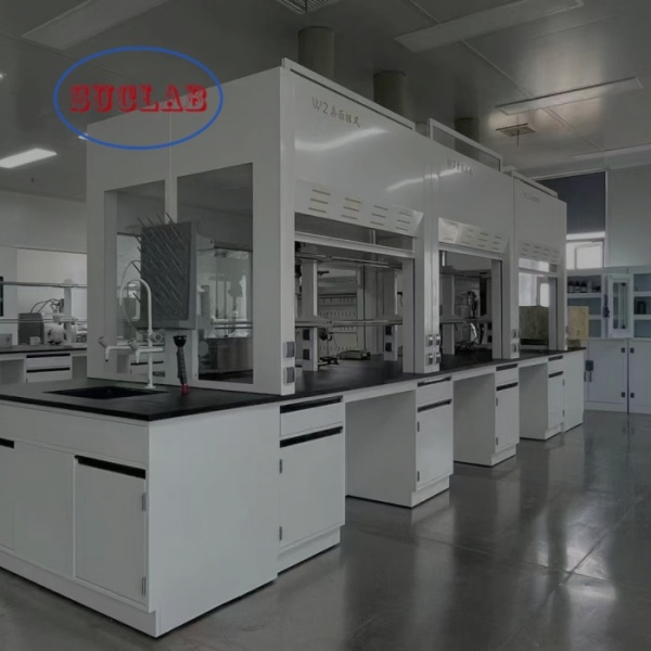 Cutom Government Approved Chemistry Lab Workstation with PP Sink