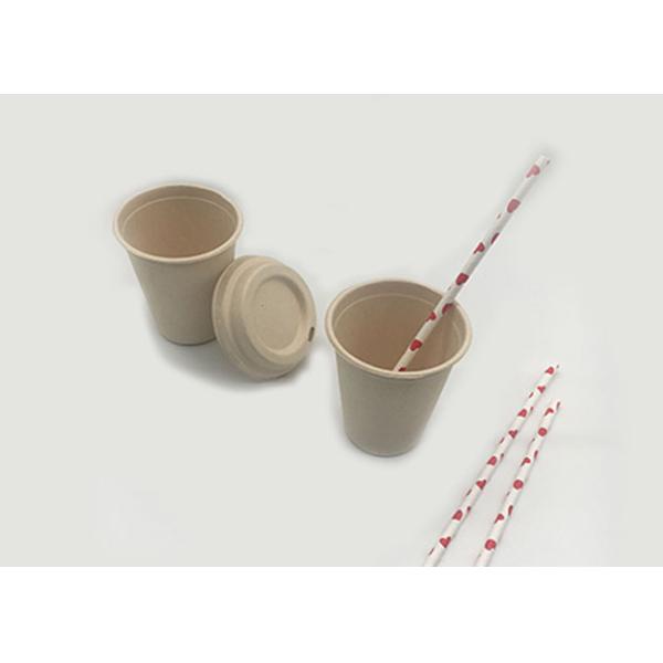 дружественный к Эко Biodegradable бумажный стаканчик чая молока кофе фарфора пульпы 8oz сахарного тростника устранимый