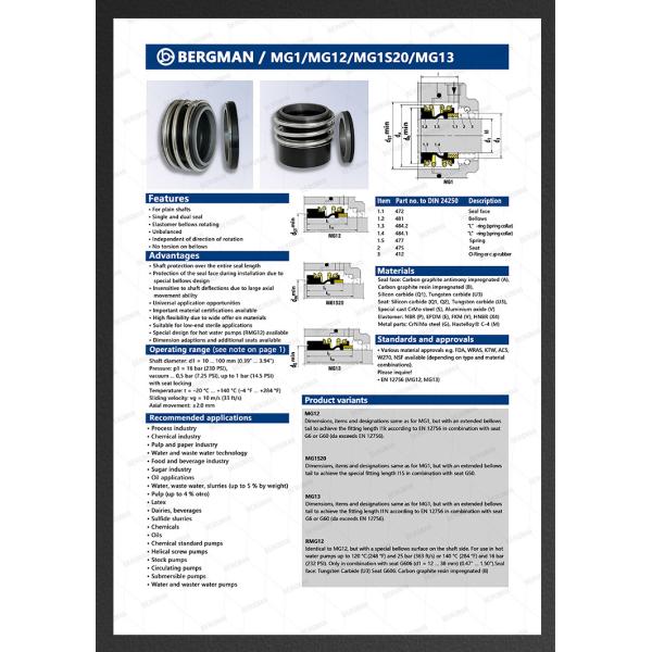 BERGMAN 109/MG1-12mm-110mm G60 G4 G6 G9 G13 G16 BS Bo BP Pump Mechanical Seal