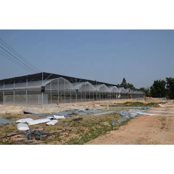 Без крыши вентиляции сельскохозяйственная теплица выращивание овощей одноразовая теплица