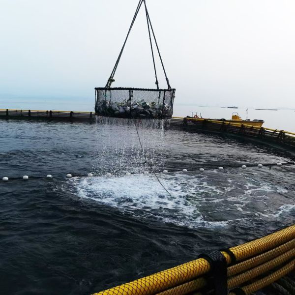 Full Set Circular Aquaculture Cage with Mooring & Net Accessories