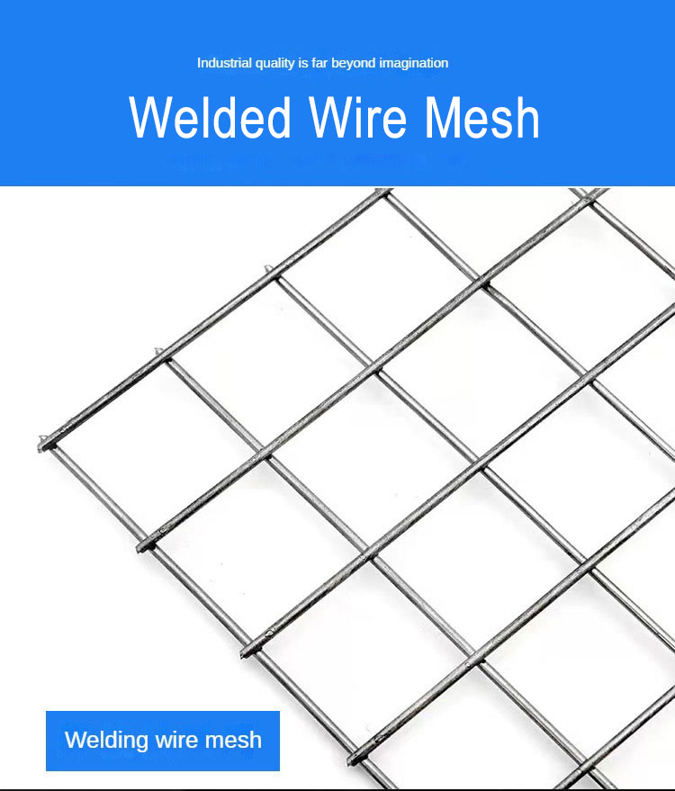Corrosion Resistant PVC Coated Stainless Steel Welded Wire Mesh for Garden Fencing