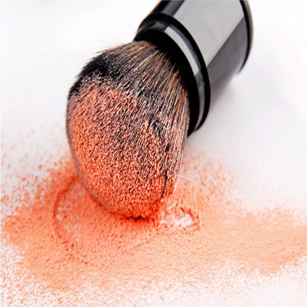 Telescopic Blush Makeup Brush High Durability 21*6*6cm Convenient To Carry