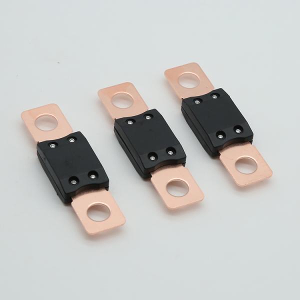 Série 298 Automóvel 12V 48V 58V 60V 80V 60A MEGA ANM parafusos em fusível