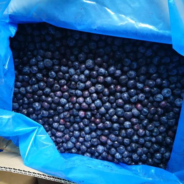 Venta al por mayor de Chinese Iqf Frozen Berries IQF Frozen Blueberry para la exportación con buen precio