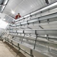 Bebê Chick Cage Farming Chickens da franga de 80 dias 4 assoalhos auto beber de 3/