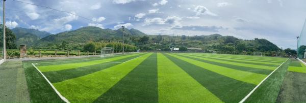 60mm Multi Purpose Artificial Football Grass For Outdoor Indoor Soccer Field