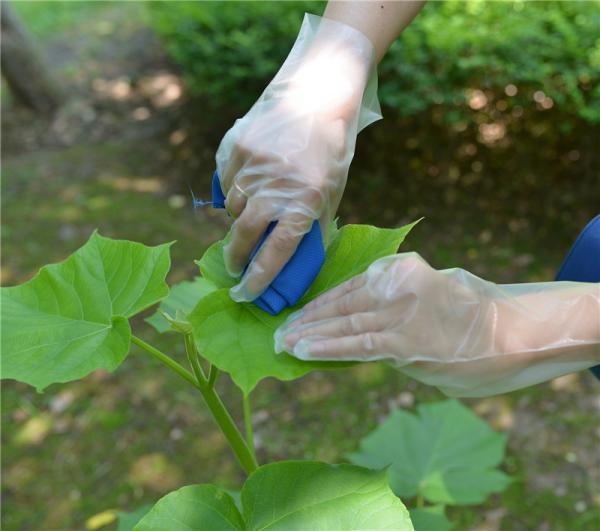 A água do serviço de alimentação impermeabiliza as luvas plásticas descartáveis 1.6g/Pc do Tpe