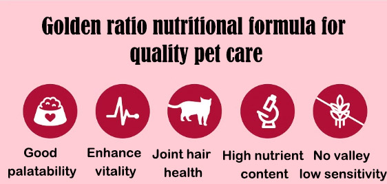 Pet Cat Wet Food Professional OEM Cat Food Lunch Box for Medium Breeds at Special Diet