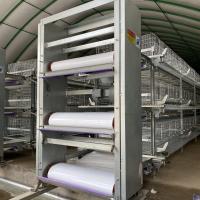 Système automatique 65 x 62,5 x 44 cm de cage de poulet de couche d'oeufs de ferme avicole