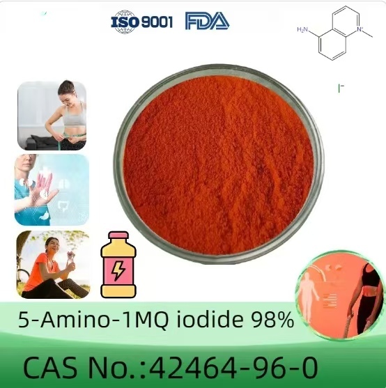 High Purity 5-Amino-1-Mq Iodide NNMTi supplement CAS 42464-96-0  5 amino mq Powder