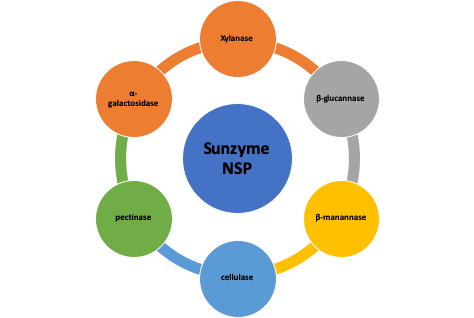 Customized Formula Slight Yellow Blend NSP Enzymes For Digestive