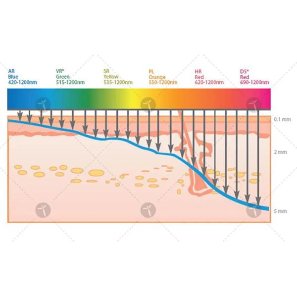 Vertical Ipl Wavelength 640nm Opt Hair Removal Machine