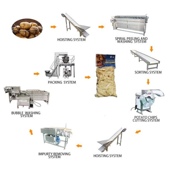 Automatic Pea Starch Vermicelli Machines/Instant Pea Starch Vermicelli Equipment/Non-Freezing Glass Noodle Production Line