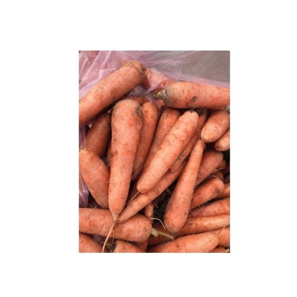green beans peas Broad bean peeling washing freezing machine cow pea kidney bean washing blanching processing line