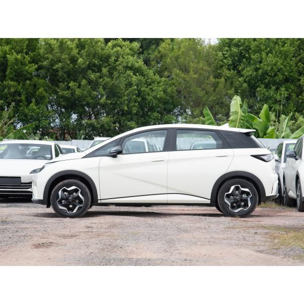 BYD Dolphin 2025 Model 420 Kilometer Pure Electric Edition 5 Doors 5 Seats 4 Speakers Popular Car