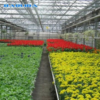 Multi tipo comprimento galvanizado quente de Venlo do vidro do período da estufa 6m 7m 8m