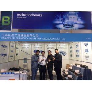 Shanghai Shineho Industry Development Co., Ltd.