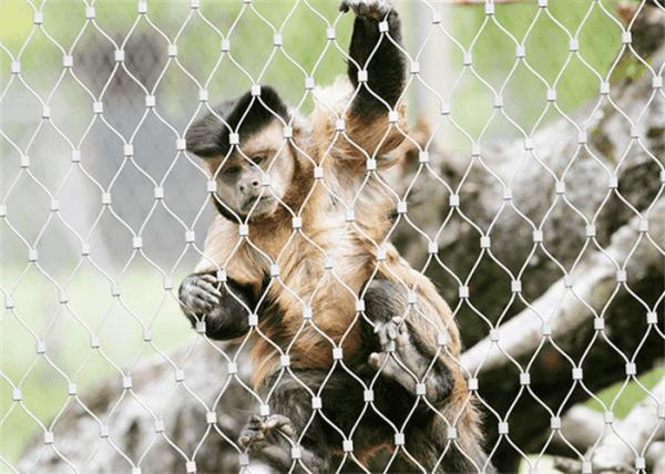 AISI Zoo Enclosure Mesh 2.5mm Custom Stainless Steel 304L Metal Animal Enclosures