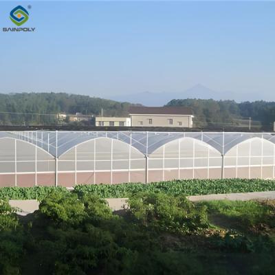 30m/50m/60m Length Multi Span Greenhouse Vegetable Plant Plastic Film Greenhouse