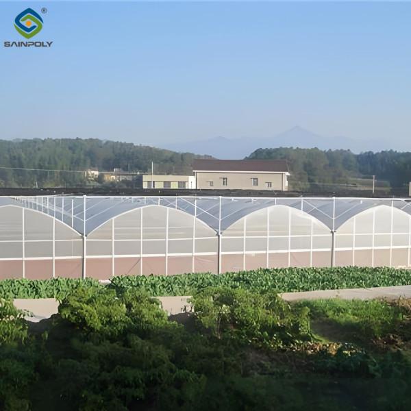 Serre de culture de légumes multifonctionnelle Serre de tunnel commercial