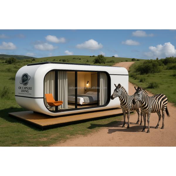 Luxury 20ft Modern Shipping Container House Small Residential Prefab Steel Structure For Hotels Villas Apartment Space