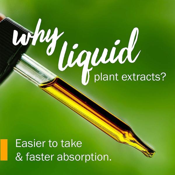 Kids Echinacea Liquid Drops | Orange Flavor | Immune Support