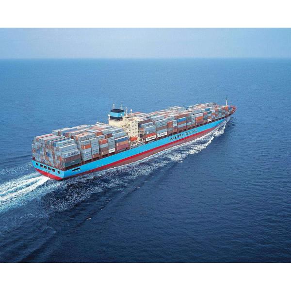 Self Balancing Adult Powerful Electric Scooters Two Wheel Patrol Use 2400w