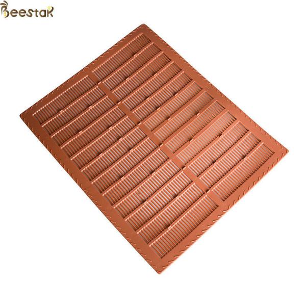 Vente à chaud Outils d'apiculture Propolis piège ruche et cadre Propolis collecteur pour rucher