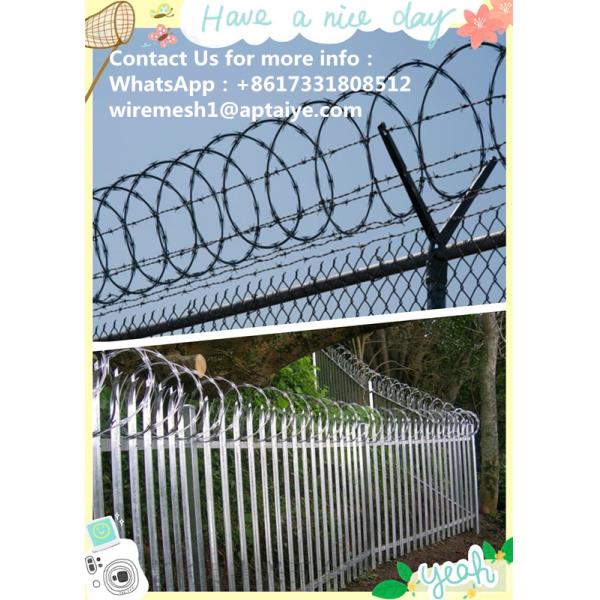 Single Coil Spiral CBT 65 Razor Wire For Concertina Coil Fencing , Long Life