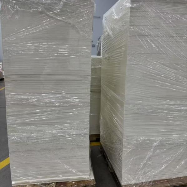 PLA Coated Paper Sheet for the Sustainable Packaging Solution
