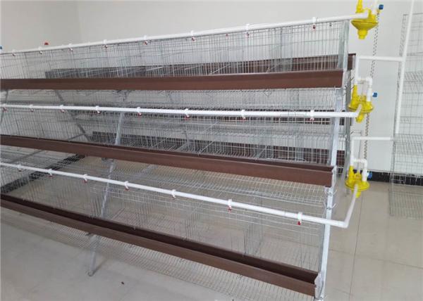 1.88m , 2m , 2.15m , 3m Length Battery Cage For Layers Design For Mozambique