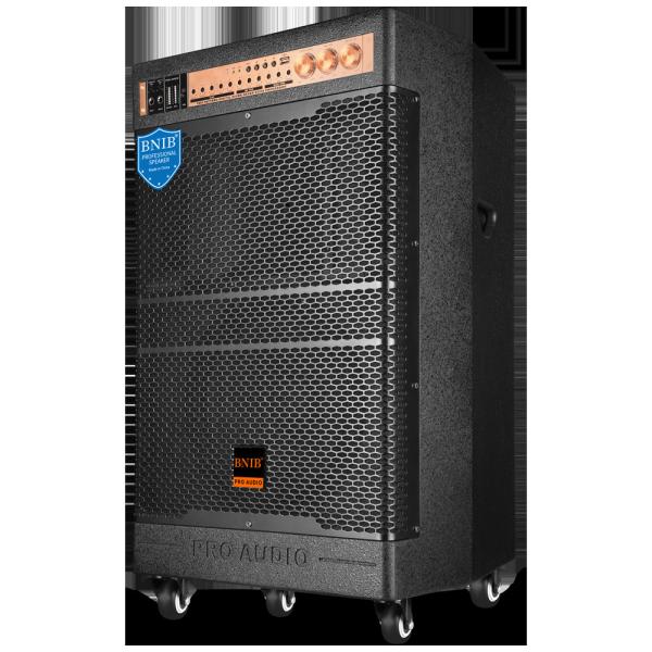 Battery Powered Pre Amplified Speaker 95 Db Boosted Audio Speaker System