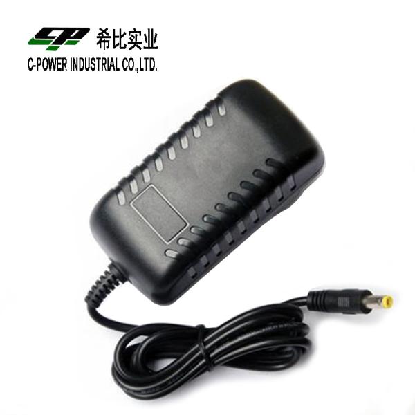 12V DC Power Adapter for CCTV LED Overvolt and Short Circuit Protection Guaranteed