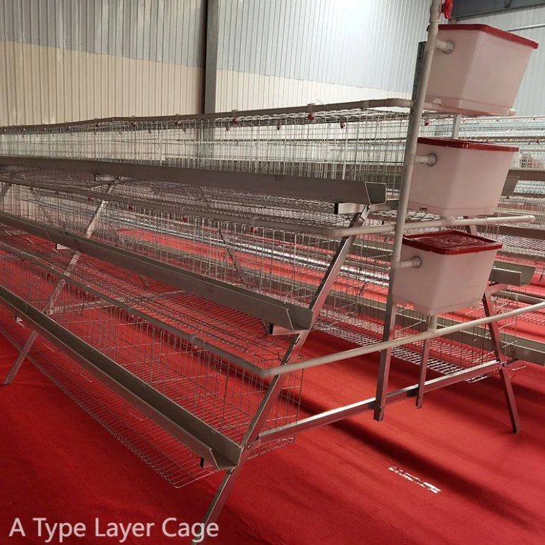 Customized Size Poultry Chicken Layer Cages Eco Friendly For Sustainable Farming