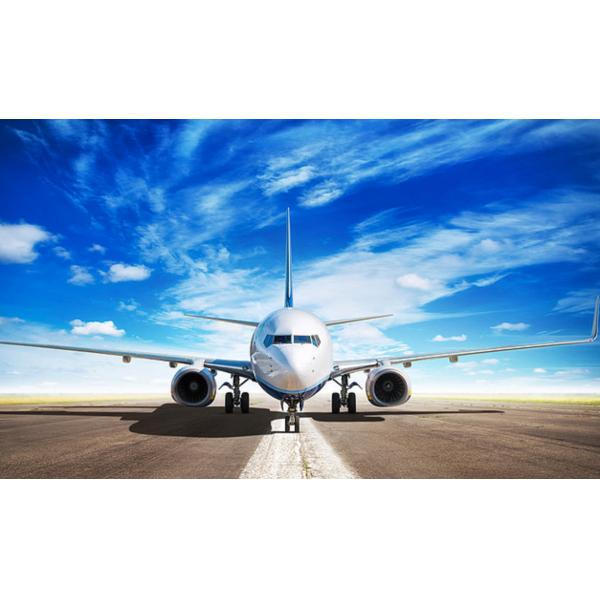 Автомобильная дверь к контейнеру двери международному грузя доставку воздуха DHL срочную от Китая к Латвии Аргентине