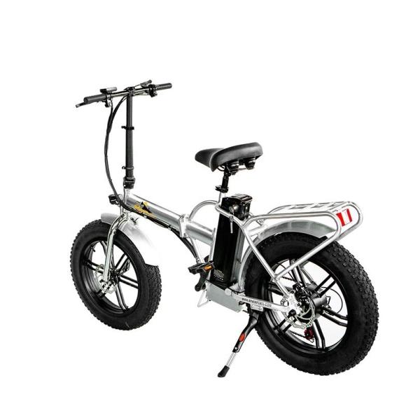750W 1000W 48V Fat Tire 4.0 Folding Silver Frame 5 Spokes Electric Folding Bike 20 Inch