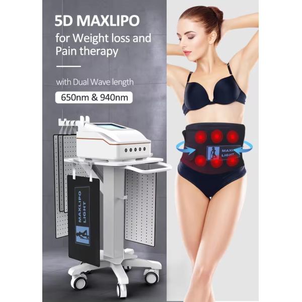 Dual Wavelength Laser Body Slimming Machine 650nm 940nm For Pain Therapy / Weight Loss