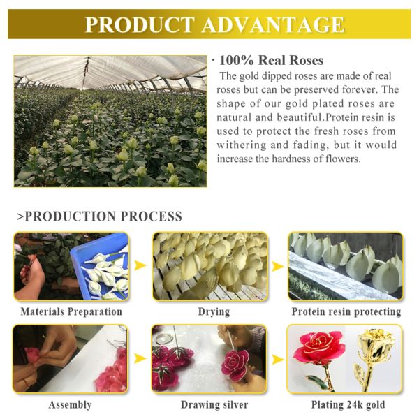 Personalized Gold Roses and Anniversary Gifts 24k Gold Plated Rose With  Gift Box Forever Gold Rose for Christmas