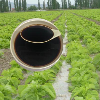 Adubo 30% agrícola líquido do ácido aminado da proteína do Hydrolysate da fonte do feijão de soja