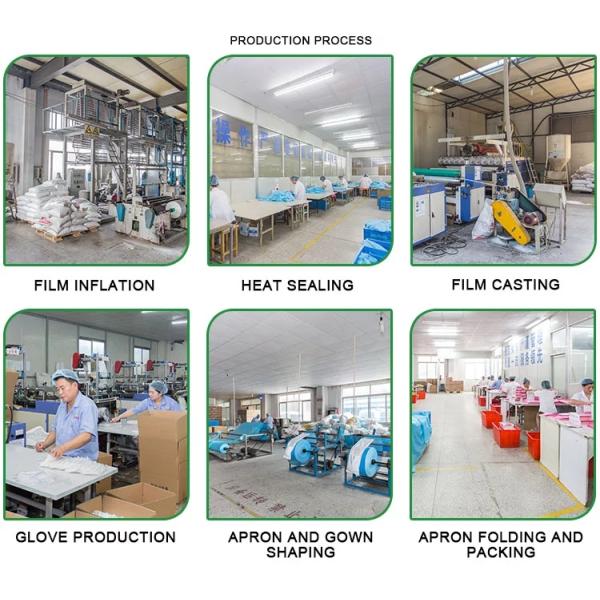 PE EVA Disposable Clear Plastic Gloves