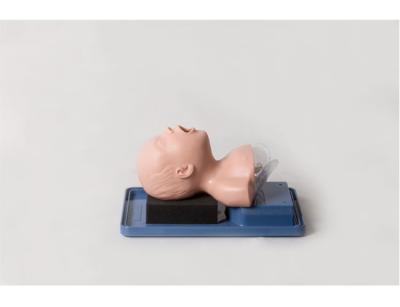 Head Anatomical Structure PVC Pediatric Simulation Manikin
