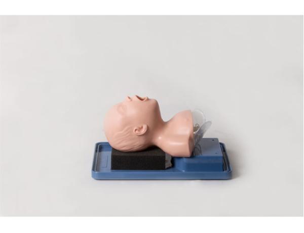 Head Anatomical Structure PVC Pediatric Simulation Manikin