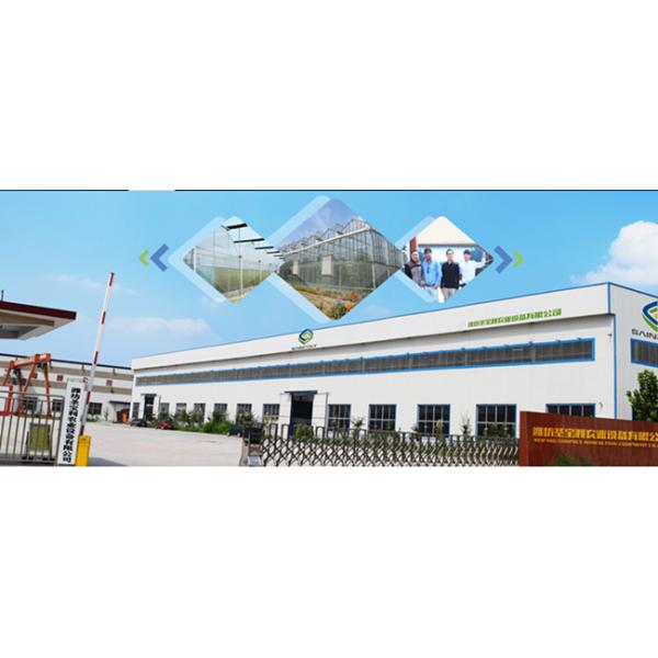 Vegetable Commercial Hydroponic Greenhouse / NFT Greenhouse Less Pests Diseases