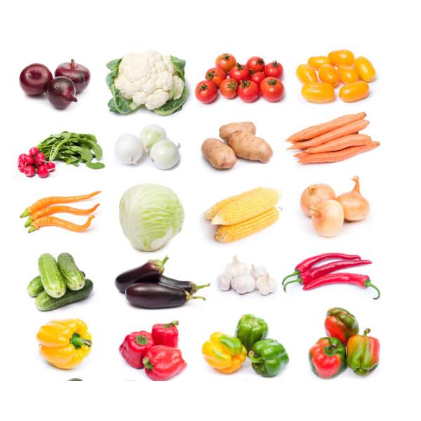 Electric Vacuum Fruit Drying Machine , Recycled Equipment For Drying Fruits And Vegetables