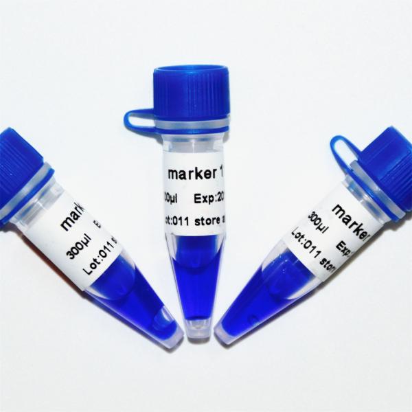 Marker 11 DNA ladder M1131 (50μg)/M1132 (5×50μg)