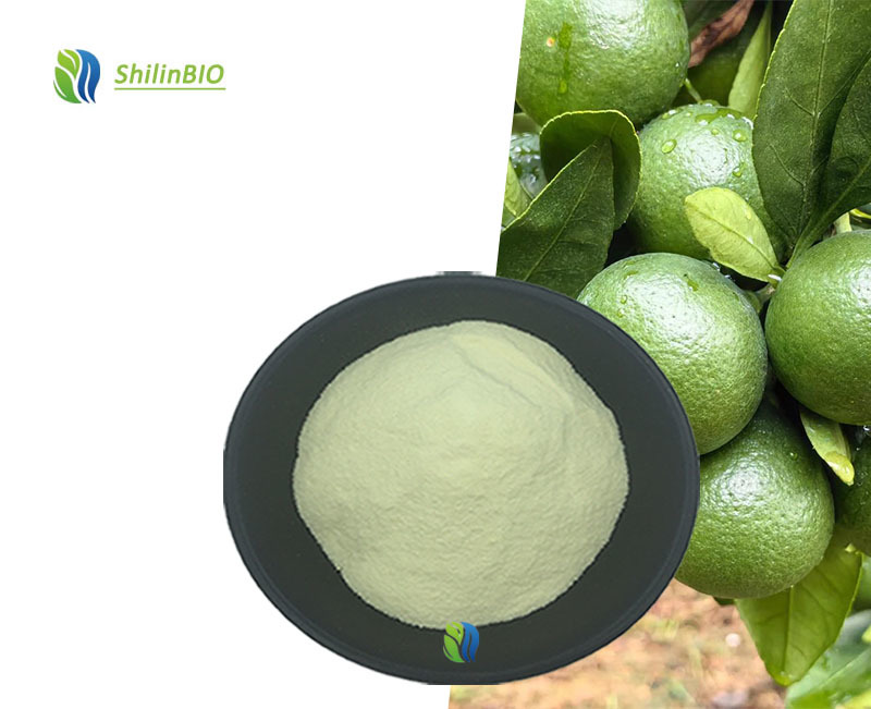 SLBIO Supplement Modified Citrus Pectin Powder 99% High Quality Food Grade Mcp Modified Citrus Pectin